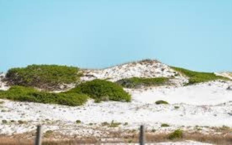 Adventure Awaits: Organizing an Exhilarating Holiday on the Emerald Coast Emerald Coast
